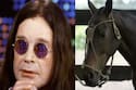 Ozzy Osbourne dejó las drogas luego de platicar con un caballo; "hablé con él durante una hora"