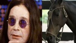 Ozzy Osbourne dejó las drogas luego de platicar con un caballo; "hablé con él durante una hora"