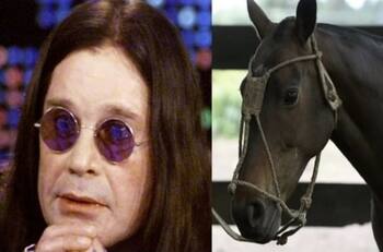 Ozzy Osbourne dejó las drogas luego de platicar con un caballo; "hablé con él durante una hora"