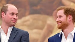 Príncipe Harry y príncipe William nuevamente unidos en honor a Lady Di