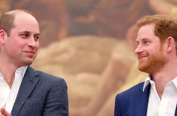 Príncipe Harry y príncipe William nuevamente unidos en honor a Lady Di