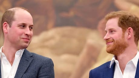 Príncipe Harry y príncipe William nuevamente unidos en honor a Lady Di