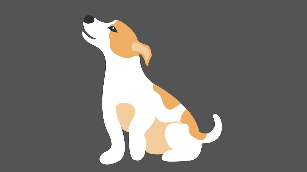 Un perro blanco con café de lado, sobre un fondo gris.