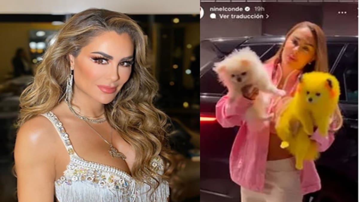 Tunden a Ninel Conde aparece con perrito pintado como Pikachu: "fallan sus neuronas"