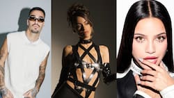 Festival de Viña 2023: Tini, Emilia y Rels B se suman al cartel final