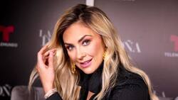 Aracely Arámbula se pronuncia a la forma en la que fue expuesta en "Luis Miguel, la serie"