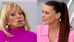 “Se hace la mojigata”: El tenso encontrón en vivo entre Raquel Argandoña y Tonka Tomicic