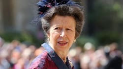 Este es el accesorio más valioso de la princesa Ana