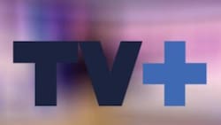 Dichos contra Cony Capelli y ahora una millonaria multa: CNTV sanciona a TV+ por esta insólita razón