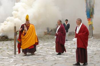 ¿Conoces el horóscopo budista? Descubre qué animal eres y cómo es tu personalidad