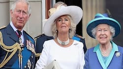 Las dos espectaculares tiaras y el collar de diamantes con el que Camila rindió homenaje a Isabel II