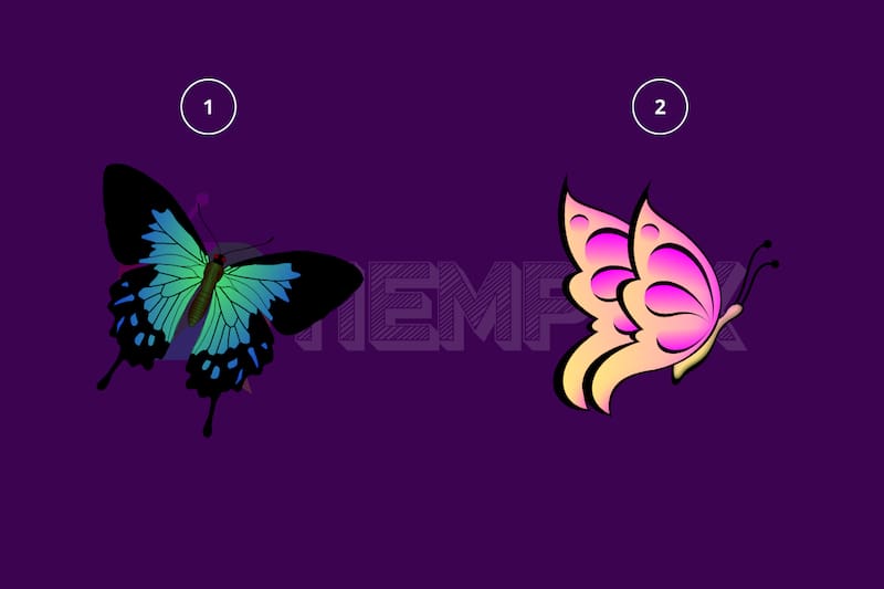 Test de Personalidad ¿Eres una persona misteriosa? Descúbrelo con esta prueba viral. - Créditos: tiempox.com