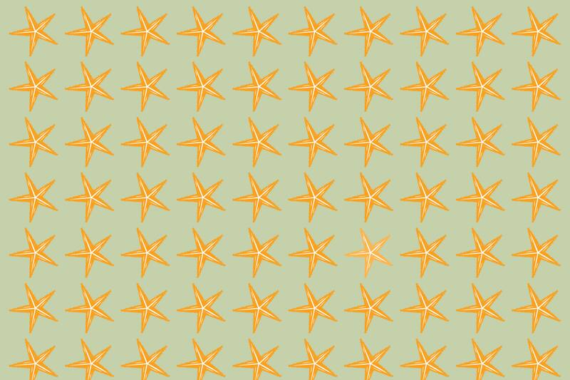 Encuentra la estrella de mar distinta a las demás en el menor tiempo posible.