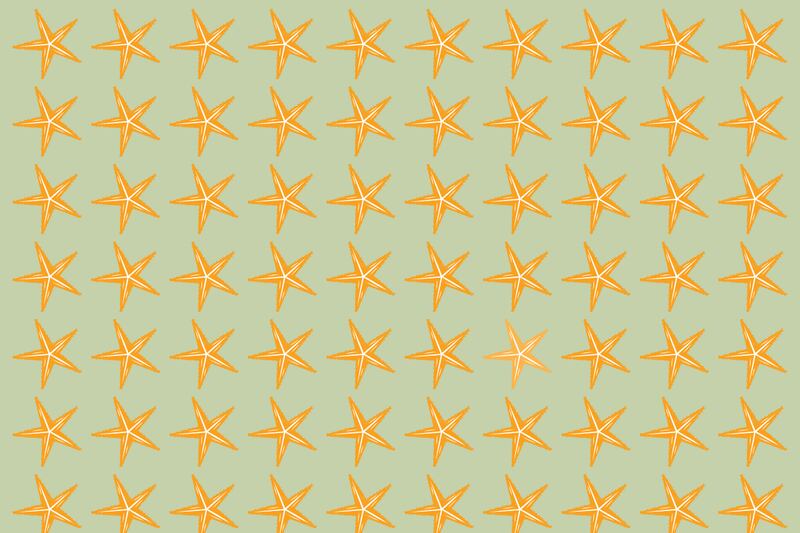 Ilustración de estrellas de mar.