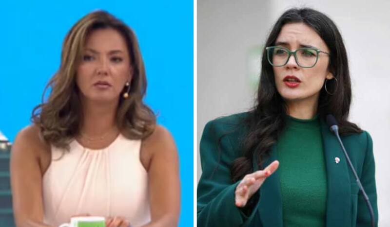 arremetió contra Camila Vallejo tras los mega incendios en la Quinta Región.
