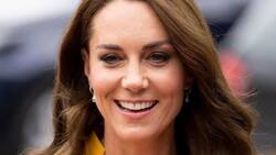 Video: Kate Middleton visita hospital y tiene un hermoso gesto con una recién nacida