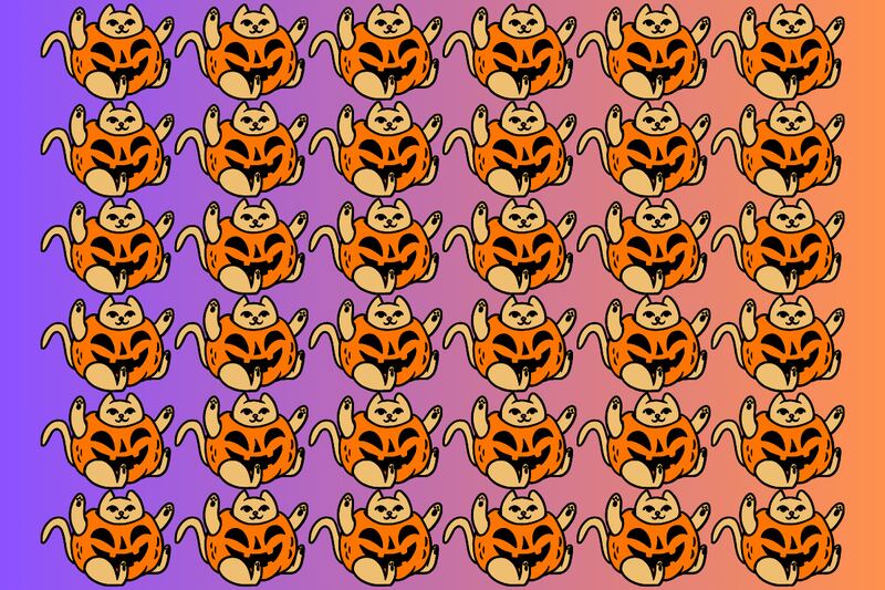En este test visual hay muchos gatos disfrazados de calabazas, pero tres son diferentes.