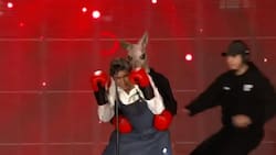 ¡Existe! El video real de Rafa Araneda y un canguro que recreó Luis Slimming en el Festival de Las Condes