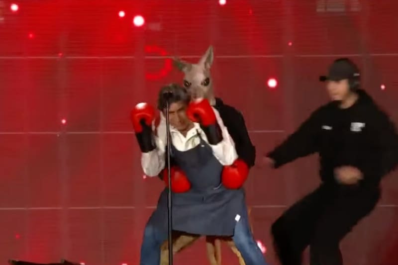 De Rafa Araneda y un canguro. Pero el registro es real. Foto: Captura CHV