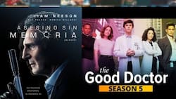 Qué ver en Amazon Prime Video esta segunda semana de julio