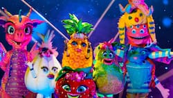 ¿Quién es la Máscara?: Ganador y detalles del final del reality show