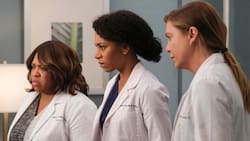 ¡Atención fans! “Grey’s Anatomy” tendrá nueva temporada