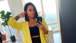 Así celebró Demi Lovato su cumpleaños 30