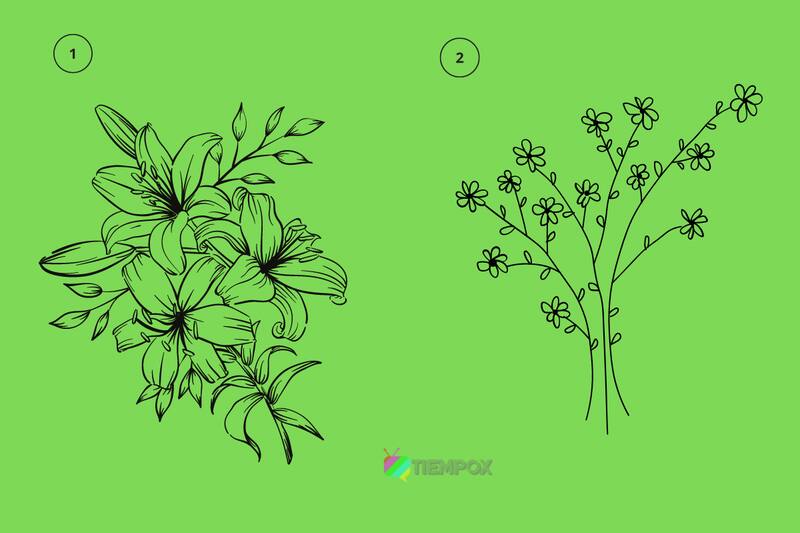 Test de personalidad Descubre si eres una persona delicada en tu rato con otros solo eligiendo una de las dos flores. - Créditos: Tiempox.com