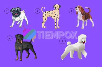 Test de Personalidad: Descubre que piensan tus amigos sobre ti y tu forma de ser