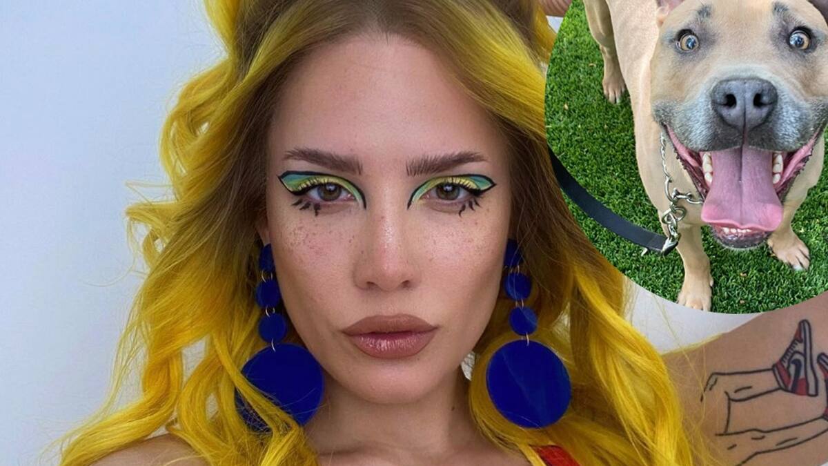 "El amor de mi vida": Halsey devastada por la muerte inesperada de su perro