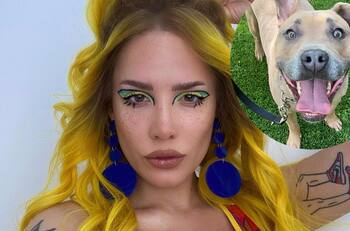 "El amor de mi vida": Halsey devastada por la muerte inesperada de su perro
