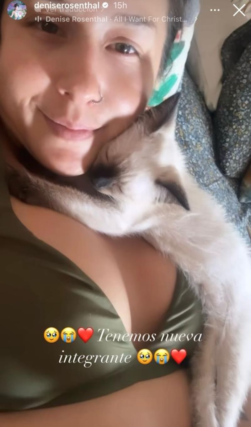 Denise Rosenthal presenta al nuevo integrante de su familia.