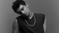 "Stranger Things": El mensaje oculto que Noah Schnapp envió a sus maestros