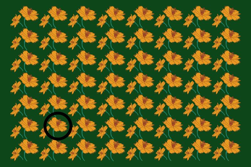 Una imagen de fondo verde, donde se ven decenas de flores amarillas que son iguales, aunque hay una diferente.
