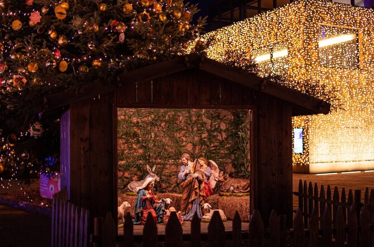 ¿Qué animal del pesebre navideño eres según tu signo?