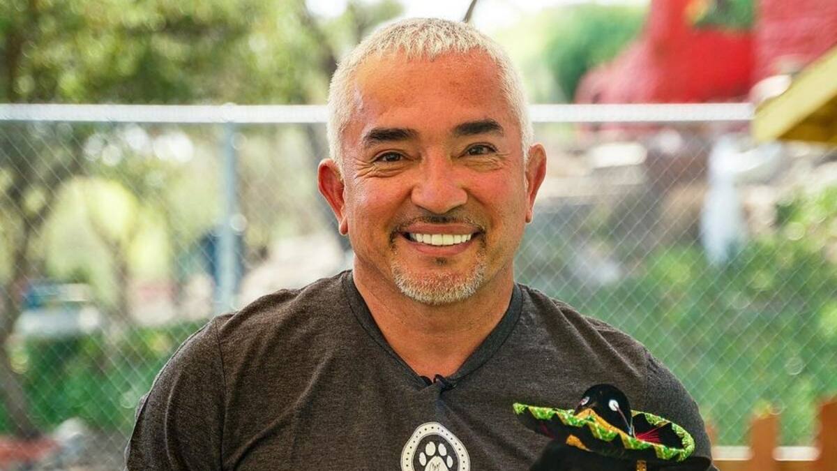 Lo encubrió: Exgimnasta acusa a César Millán de ocultar que su mascota asesinó a uno de los perros de Queen Latifah