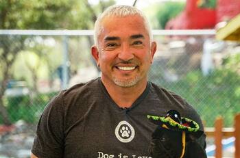 Lo encubrió: Exgimnasta acusa a César Millán de ocultar que su mascota asesinó a uno de los perros de Queen Latifah