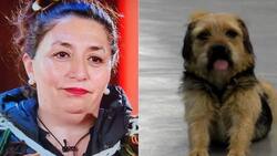 Pincoya confiesa que también quiso adoptar a Bigote de “Gran Hermano” Chile