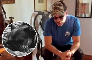 “Mi querido Bo...”: José Antonio Neme sufre la muerte de su perrito a solo horas de importante viaje al extranjero