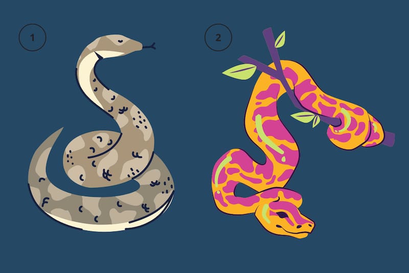 ¿Qué serpiente prefieres?