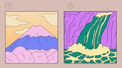 Test de personalidad: ¿Te comportas de manera insensata?