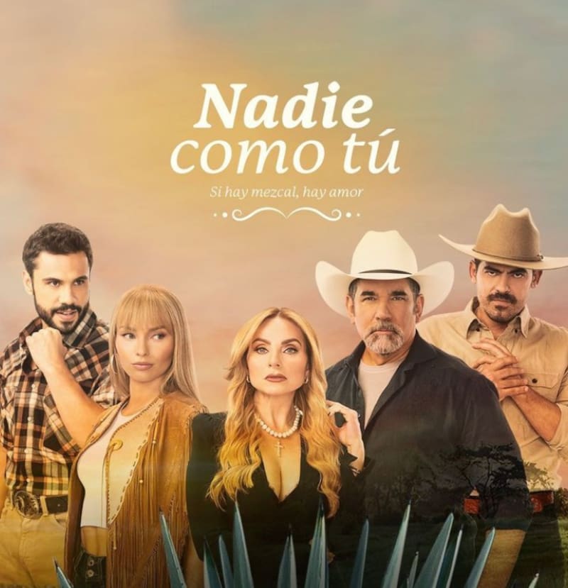 Elenco de la telenovela Nadie como tú