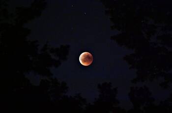 Nodos Lunares: ¿Qué significa el nodo norte en Tauro para la Astrología?