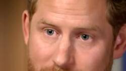 Príncipe Harry le dice al príncipe William y al rey Carlos: "La pelota está en su cancha"