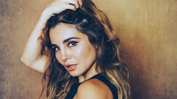 Hermano de Martha Higareda se peleó en Twitter para defenderla de las burlas