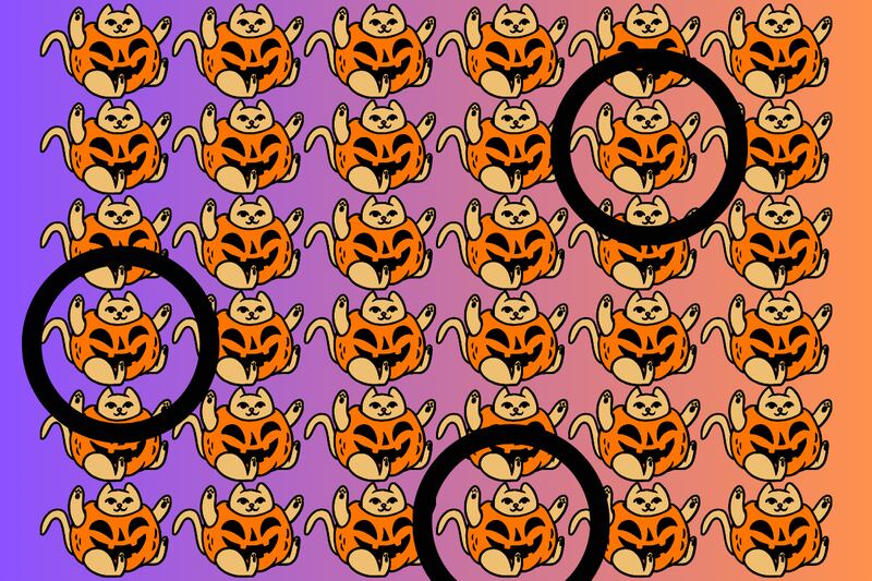 Respuesta al test visual en donde hay muchos gatos disfrazados de calabazas, pero tres son diferentes.
