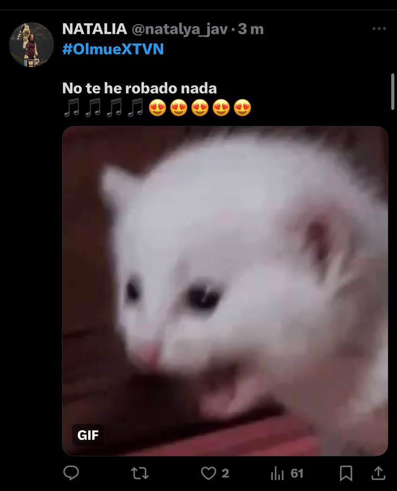 La cantante encantó en el Patagual.