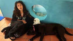 Salma Hayek confiesa que pensó en dejar la actuación