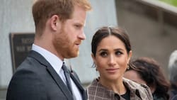 Meghan Markle y el príncipe Harry son acusados de estafadores
