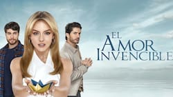 Amor Invencible: Dónde ver completa la telenovela de Angelique Boyer y Danilo Carrera antes del gran final